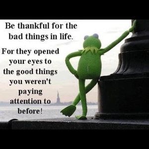 Meet your Posher, Marlena